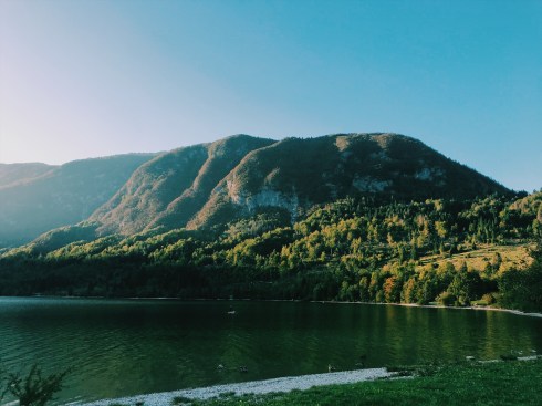 Processed with VSCO with c1 preset